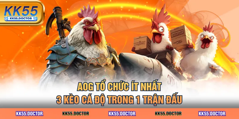 Sảnh AOG Đá Gà Tại KK55 - Trải Nghiệm Đá Gà Đỉnh Cao 4 AOG tổ chức ít nhất 3 kèo cá độ trong 1 trận đấu
