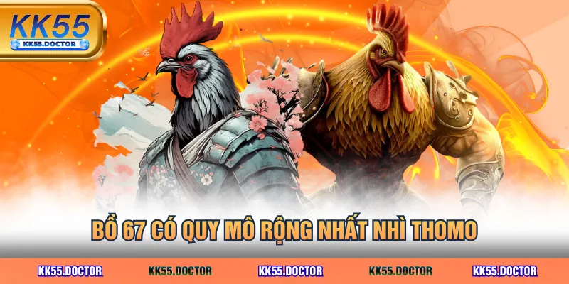 Top 3 CLB Đá Gà Thomo 67 Sừng Sỏ Nhiều Chiến Kê Hay Nhất 2 Bồ 67 có quy mô rộng nhất nhì Thomo
