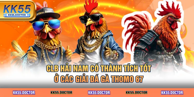 Top 3 CLB Đá Gà Thomo 67 Sừng Sỏ Nhiều Chiến Kê Hay Nhất 3 CLB Hải Nam có thành tích tốt ở các giải đá gà Thomo 67