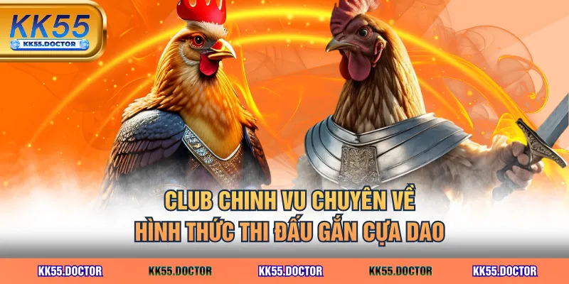 Top 3 CLB Đá Gà Thomo 67 Sừng Sỏ Nhiều Chiến Kê Hay Nhất 4 CLUB Chinh Vu chuyên về hình thức thi đấu gắn cựa dao