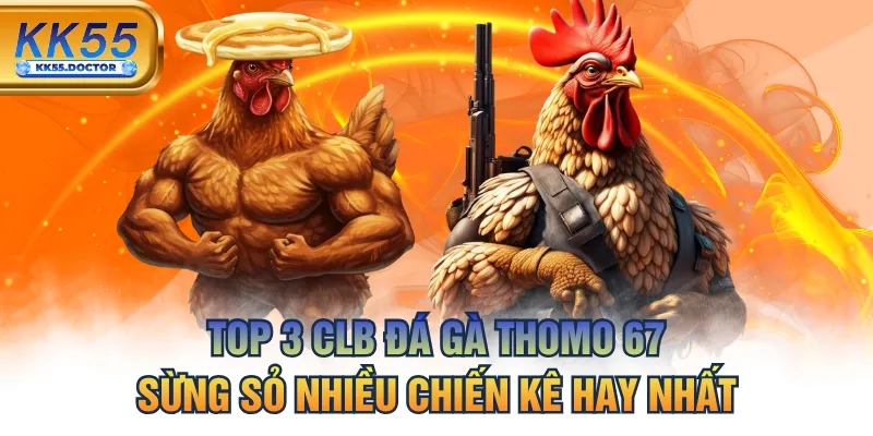 Top 3 CLB Đá Gà Thomo 67 Sừng Sỏ Nhiều Chiến Kê Hay Nhất 3 Top 3 CLB Đá Gà Thomo 67 Sừng Sỏ Nhiều Chiến Kê Hay Nhất